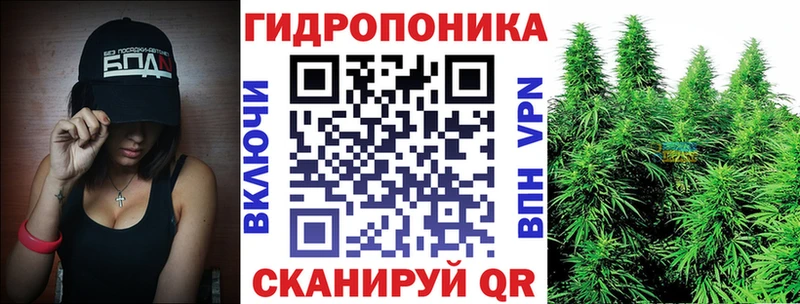 Конопля планчик  где найти наркотики  Мыски 